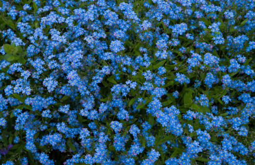 1539942 (a): :2560x1664